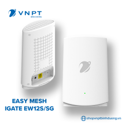 Easy Mesh Access Point – iGate EW12S/SG