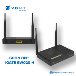 GPON ONT IGATE GW020-H