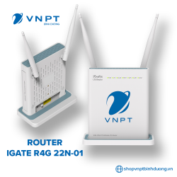 Multimode LTE Router - iGate R4G 22N-01
